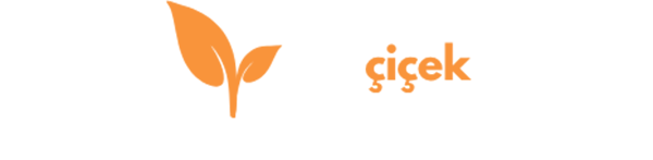 İzmit Tadilat ve Dekorasyon Firması